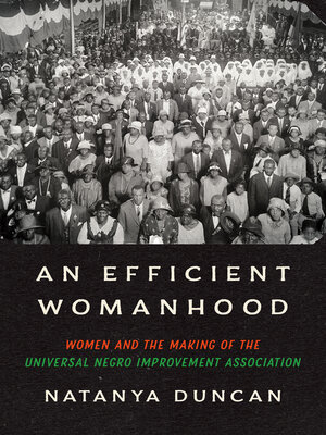 cover image of An Efficient Womanhood